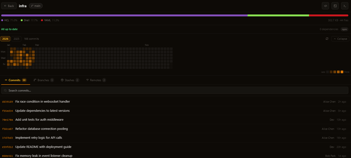 Repository detail with commits and branches